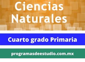 Descargar Planes y programas 2011 ciencias naturales cuarto grado primaria PDF