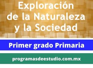 Descargar Planes y programas 2011 ciencias primer grado primaria PDF