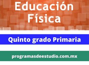 Descargar Planes y programas 2011 educación física quinto grado primaria PDF